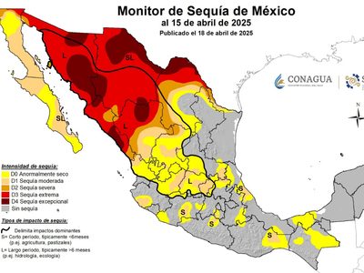 Falta de lluvias afecta más del 60% del territorio mexicano
