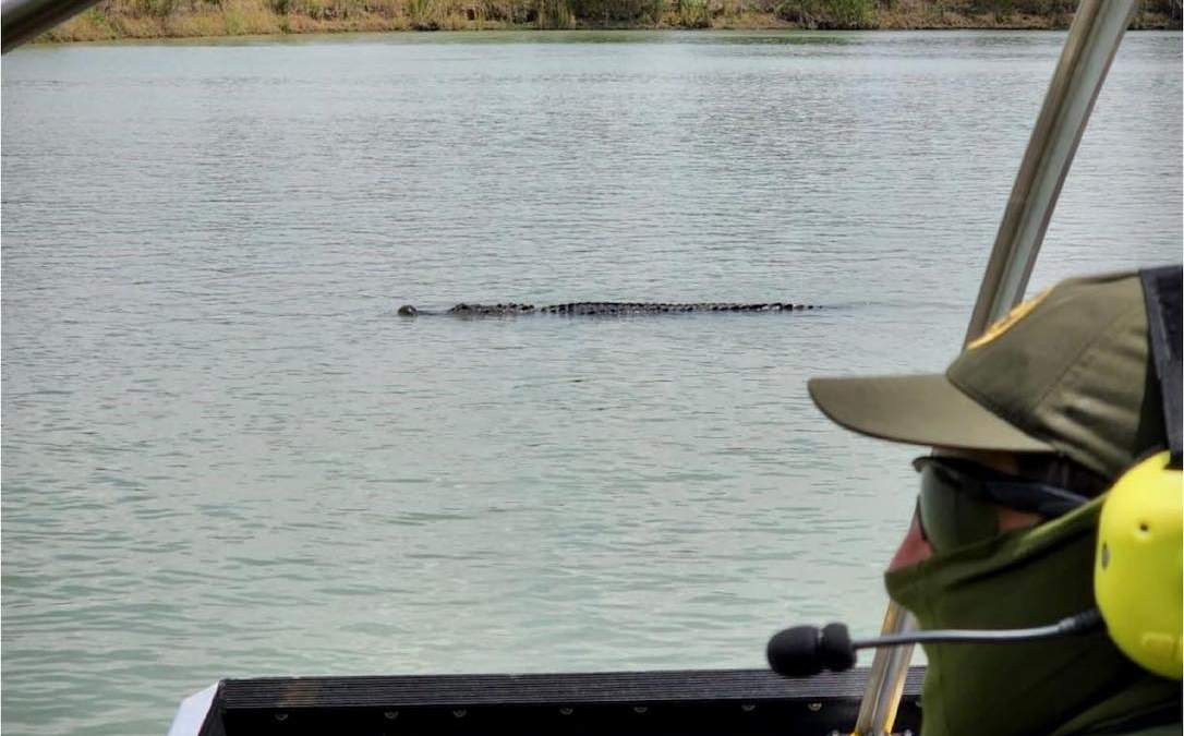 El cocodrilo captado por la Border Patrol