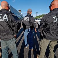 DEA sostiene que cárteles mexicanos son los perpetradores del "inmenso daño" a los estadunidenses