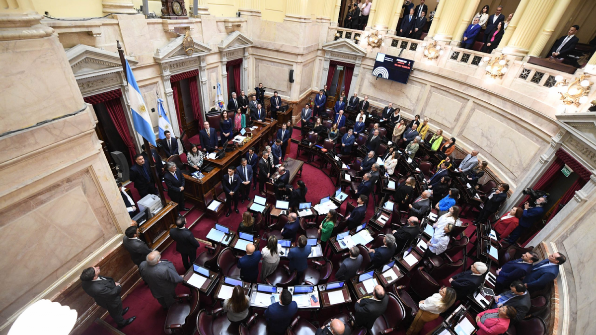 Senadores. Fuente: (Instagram)