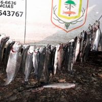 Inspectores de Fauna de Neuquén detectaron actividad de pesca ilegal en Collón Curá