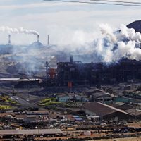 Chile: cuáles son las dramáticas consecuencias de los residuos tóxicos generados por una empresa sueca