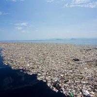 La ONU alerta por 'millones de muertes” si no se reparan graves daños al ambiente para 2050