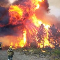 Organizaciones sociales y políticas de Neuquén se movilizarán por los incendios en la Patagonia