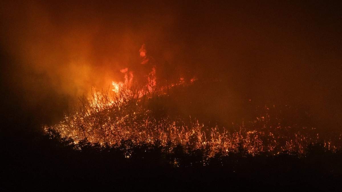 Incendios forestales. Fuente: (Parques Nacionales)
