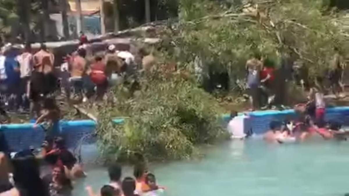 Momentos posteriores a la caída del árbol