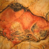 'Frobenius. El mundo del arte rupestre” en el Museo de Antropología