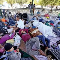 Solicitudes de asilo en México aumentaron 31% en enero-marzo, informa ACNUR