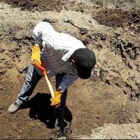 Fiscalía de Nayarit confirma recuperación de 21 cadáveres en fosa del Valle la Saucera