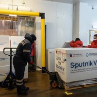 Plan de vacunación: distribuyen más de 650 mil dosis en todo el país