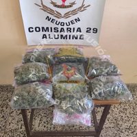 Encontraron 1 kilo de marihuana que había llegado por enconmienda hasta la terminal de Aluminé