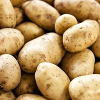 El truco de los chefs para conservar las papas más tiempo en el congelador: quedan crujientes y ricas