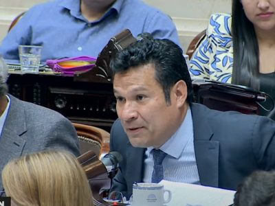 Llancafilo le respondió a Milei: “Pretende construir una posverdad generando enemigos”