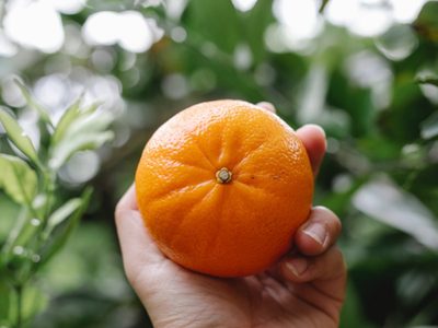 Nunca tires las semillas de mandarina, mirá cómo las podés utilizar para mejorar tu salud sin gastar un solo peso