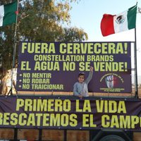 Consulta sobre Constellation Brands genera sorpresa, dudas y esperanza en Mexicali