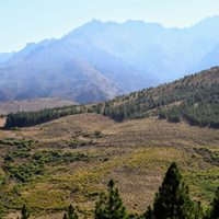 El norte de Neuquén tembló: se registró un nuevo sismo. Atención
