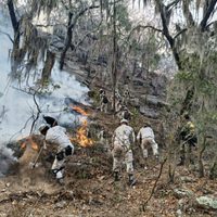 204 incendios activos en México, el mayor número de siniestros registrados en un día