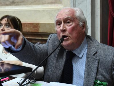 En su discurso sobre la IVE, una senadora citó a Pino Solanas