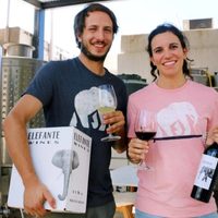 Éxito de una enóloga mendocina que elabora vinos en un garage