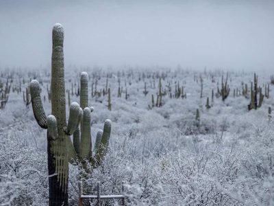 En emergencia 38 municipios sonorenses por 'heladas" y 'severas nevadas"