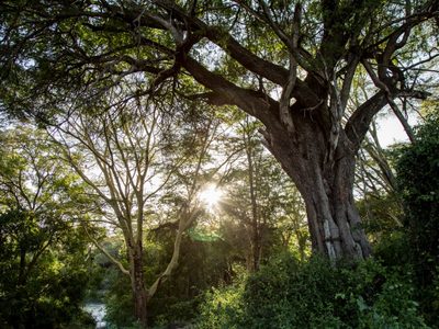 Apple lanza un fondo con 200 millones de dólares para acelerar soluciones contra el cambio climático