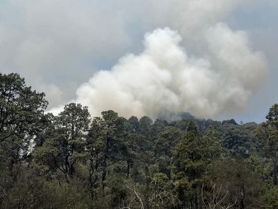 Tepoztlán: restringen acceso a áreas naturales tras incendios