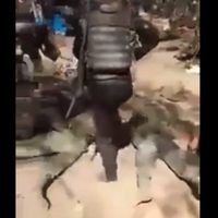 Video muestra a soldados sometidos por sicarios del Cártel de Sinaloa