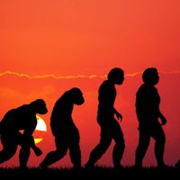 Hallazgo histórico en China: científicos descubren una nueva especie humana