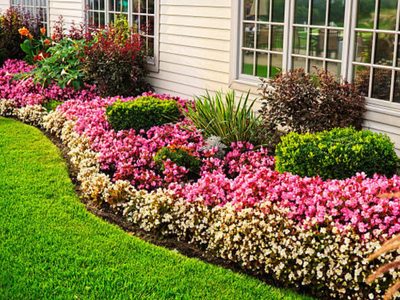 Las 6 mejores plantas para poner en los canteros de la entrada de tu casa y darle un estilo elegante y moderno