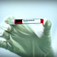 Coronavirus en Río Negro: 79 casos positivos y 14 sospechosos ¡Oficial!