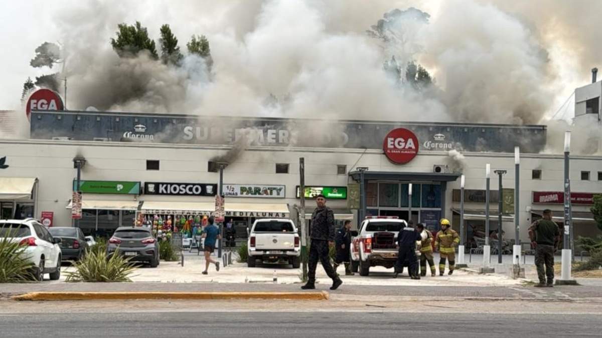 Este fue el primer incendio de gran magnitud de la temporada en Pinamar. Fuente: (X)