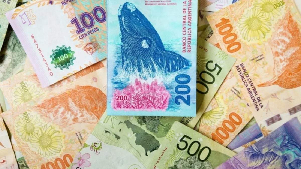 Billetes. Fuente: (X)
