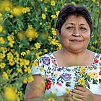 Leydy Pech, por las abejas y la tierra