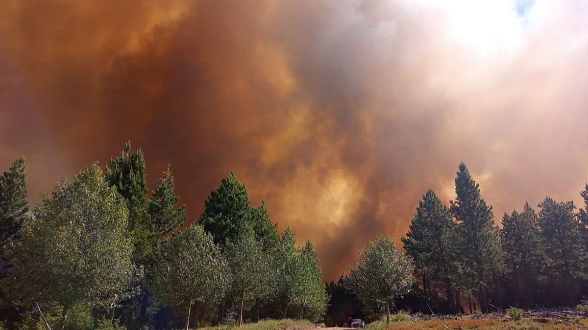 Continúa el incendio en Aluminé. Fuente: (Twitter)