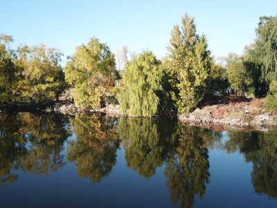 La Municipalidad de Neuquén Capital asume un nuevo desafío ambiental