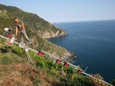 Vinos extremos: otorgaron los premios a las producciones más heroicas