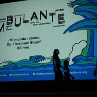 Ambulante, 20 años de difundir el cine documental en busca de la transformación cultural de México