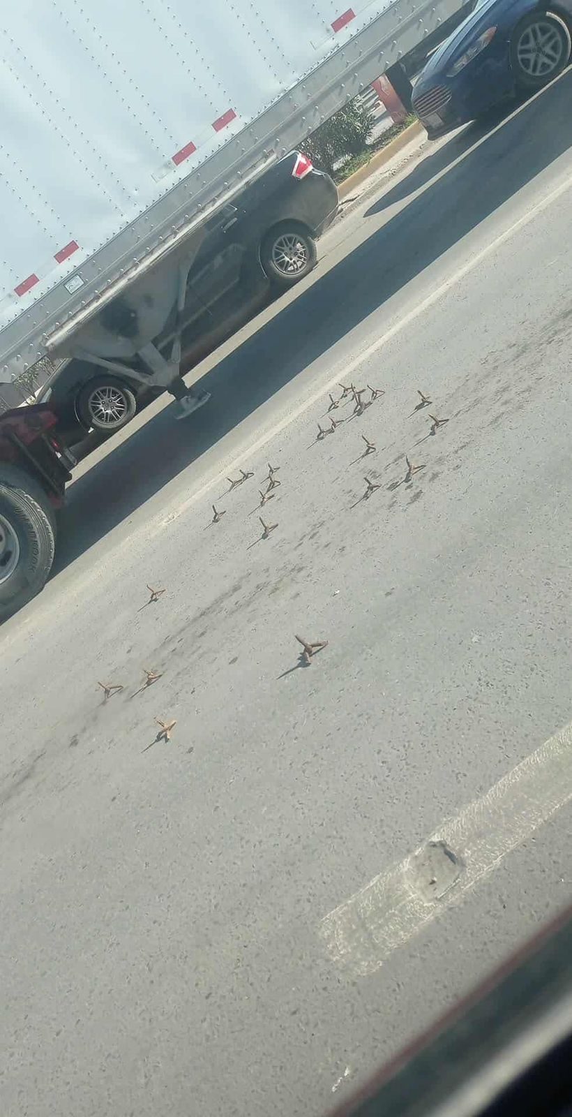 Ponchallantas en calles de Matamoros, Tamaulipas