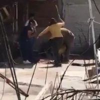 Convocan a marcha en Edomex por el caso del perro "Silver", asesinado a golpes