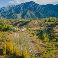 Abrió la primera finca de turismo cannábico y medicinal de la Argentina