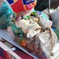 Hallaron carne podrida en un contenedor en pleno centro de Neuquén