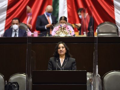 Ante Irma Eréndira, diputado pide cárcel para funcionarios de la Conade