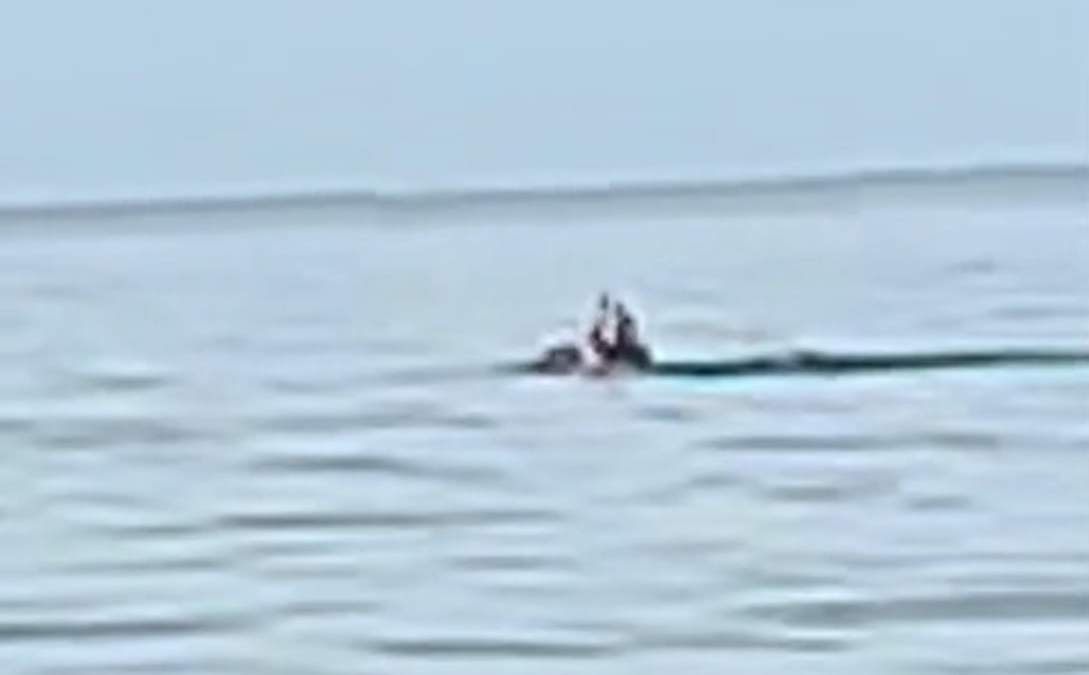 Imagen del video en el que se ve al turista mientras pedía ayuda