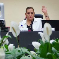 Tribunal Electoral da vía libre a Guadalupe Taddei para que designe a funcionarios del INE