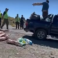 "Yo no los vendo, ustedes no los comen": increíble reacción en un control del CIPPA