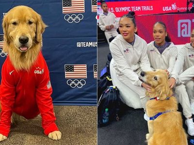 Beacon, el perro de terapia del equipo de gimnasia de Estados Unidos