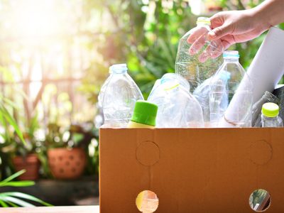 No vas a regar más tus plantas: no tires las botellas plásticas y hacé este eficaz sistema de riego