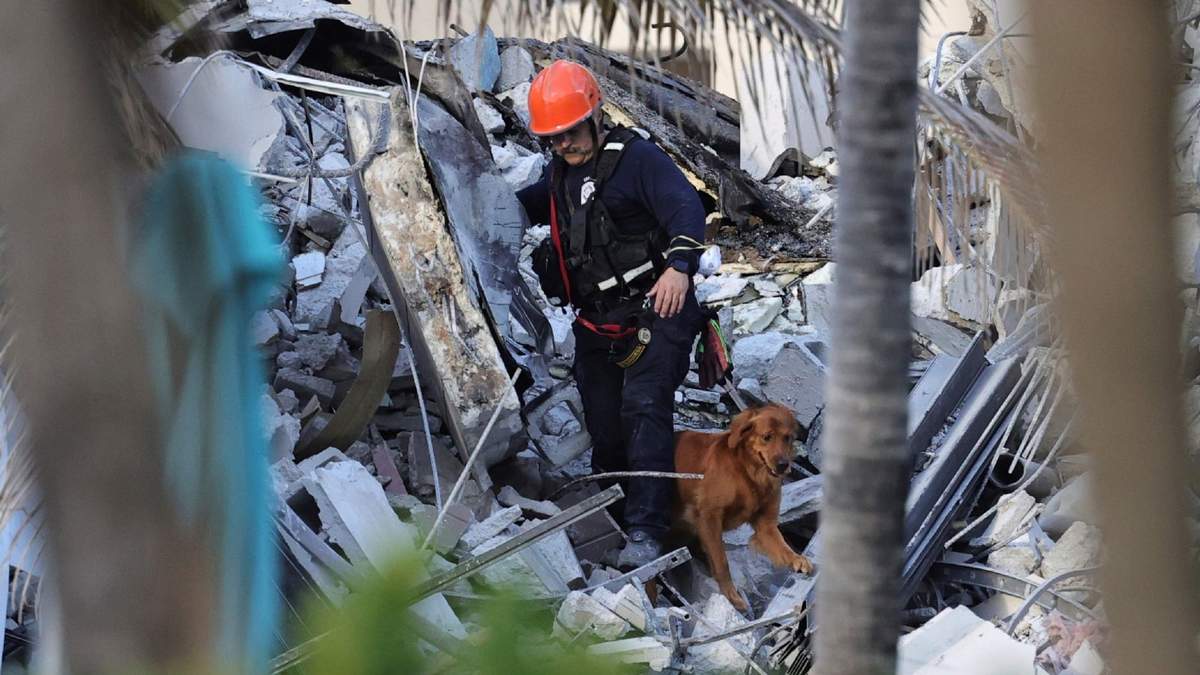 Un bombero y un can buscan sobrevivientes en las ruinas del eficio colapsado en Miami, Florida. Fuente: (Twitter)