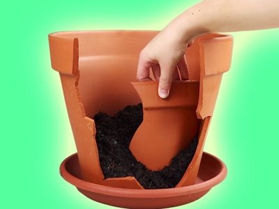 No tires las macetas de barro rotas: mirá cómo podés reutilizarlas para crear una nueva y sin gastar un peso