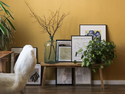 Con solo pedazos de madera y frascos de vidrio usados: creá esto tan lindo y de diseñador para decorar tu casa